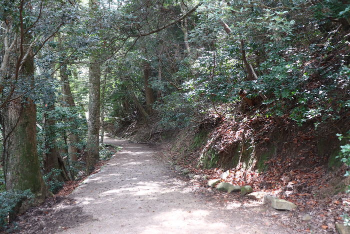 f:id:monhime:20200318212049j:plain f:id:monhime:20200318212049j:plain