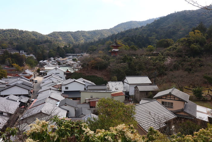 f:id:monhime:20200318212129j:plain f:id:monhime:20200318212129j:plain