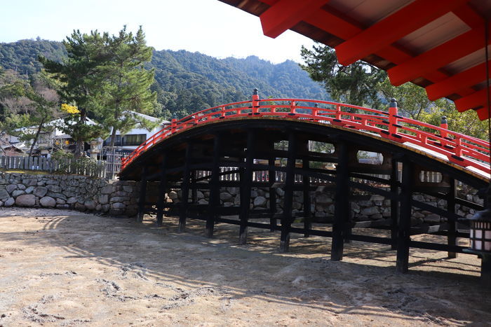 f:id:monhime:20200318214146j:plain f:id:monhime:20200318214146j:plain