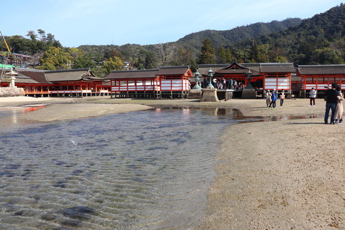 f:id:monhime:20200318214356j:plain f:id:monhime:20200318214356j:plain