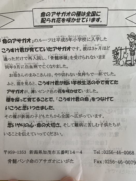 f:id:monhime:20200326082022j:plain f:id:monhime:20200326082022j:plain
