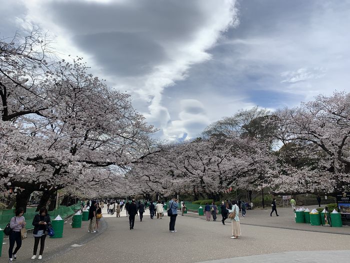 f:id:monhime:20200327174309j:plain f:id:monhime:20200327174309j:plain