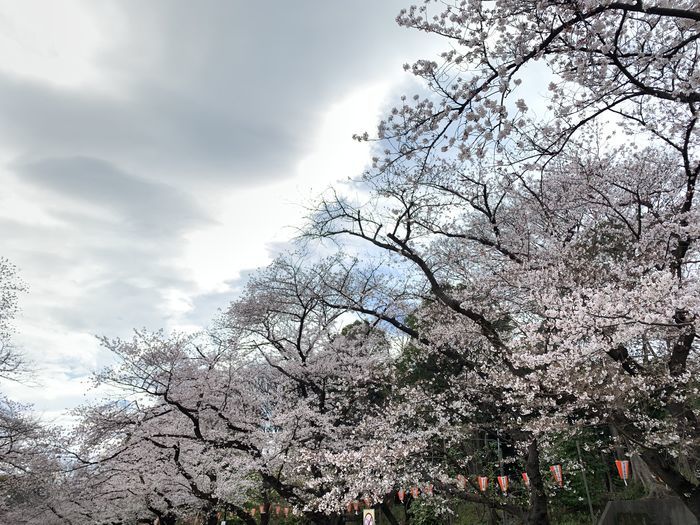 f:id:monhime:20200327174432j:plain f:id:monhime:20200327174432j:plain