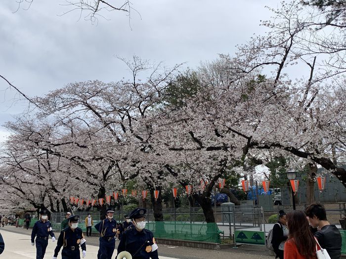f:id:monhime:20200327175633j:plain f:id:monhime:20200327175633j:plain