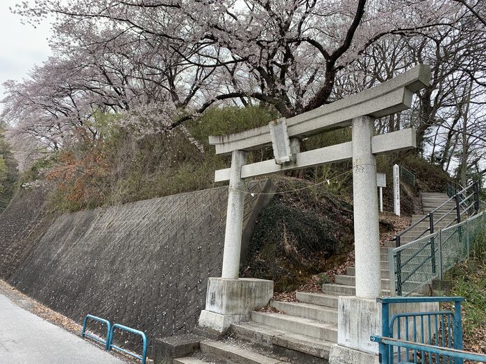 f:id:monhime:20200331135157j:plain f:id:monhime:20200331135157j:plain