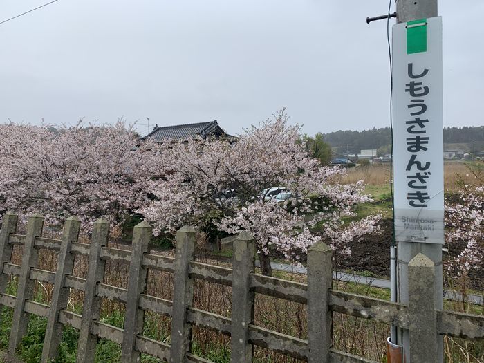 f:id:monhime:20200406114412j:plain f:id:monhime:20200406114412j:plain