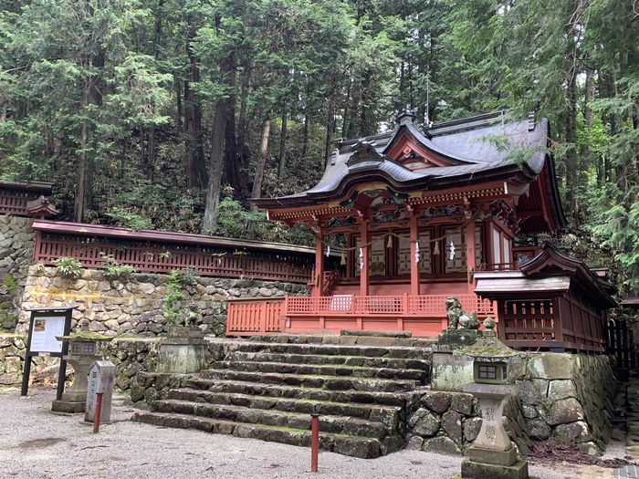 f:id:monhime:20200730074353j:plain f:id:monhime:20200730074353j:plain