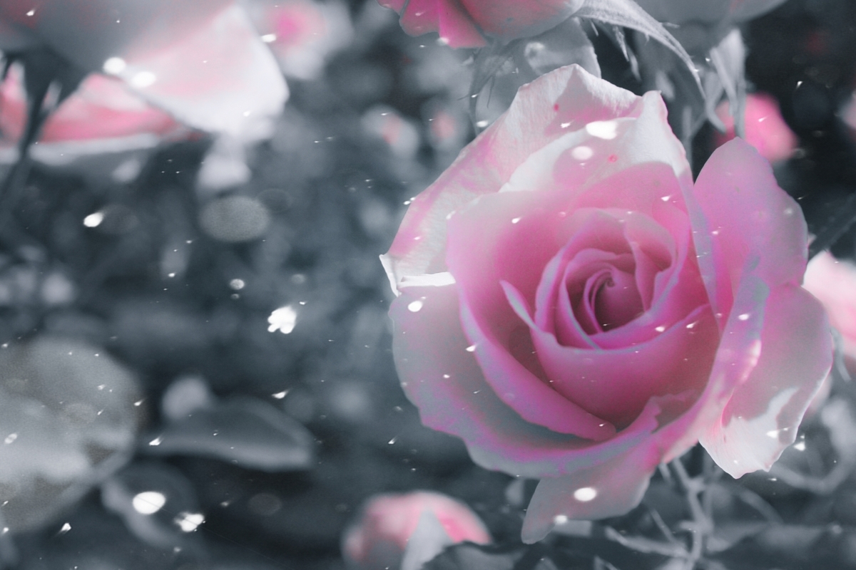 f:id:monicaanz:20190924183449j:plain