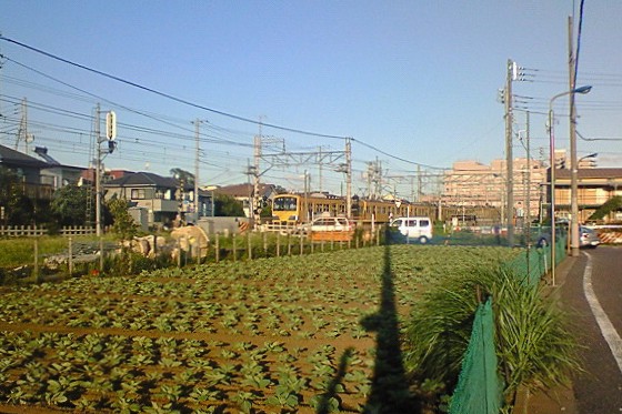 イメージ 14