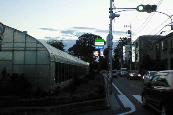 イメージ 22