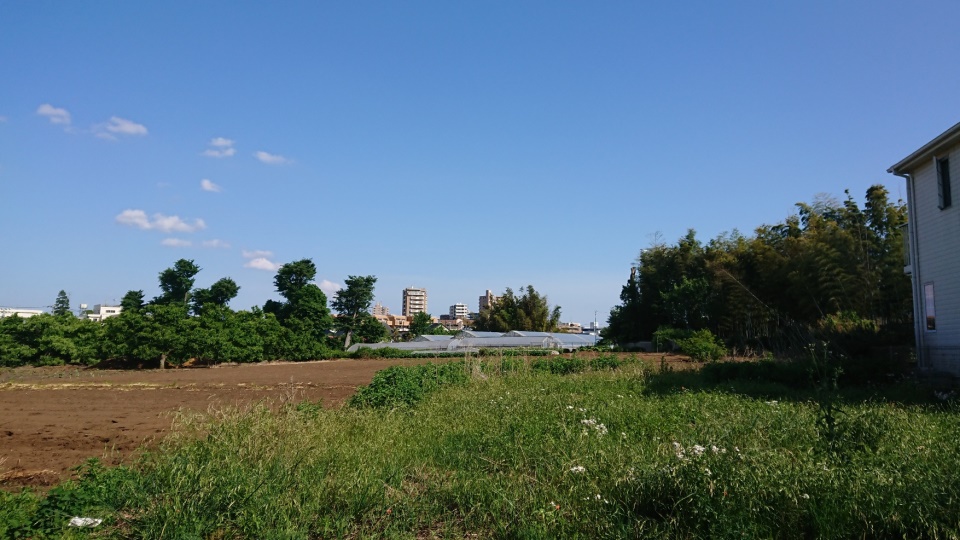 f:id:monif_0321:20200613224854j:plain