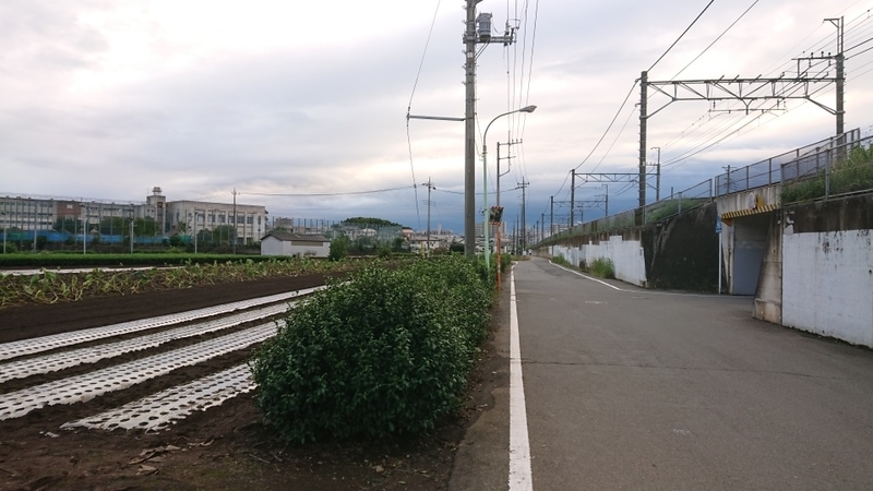 f:id:monif_0321:20210209222403j:plain