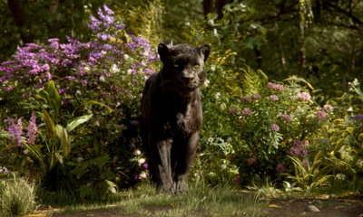 映画 ジャングルブック 感想ネタバレあり 解説 これが私の生きる道 動物たちもかわいすぎるぞ Cgだけど モンキー的映画のススメ