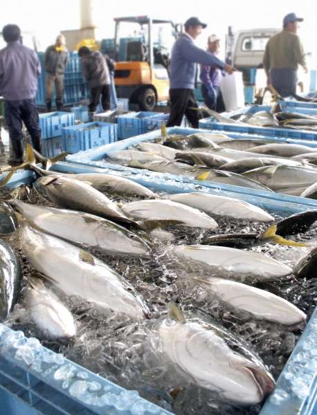 金沢港いきいき魚市大歳の市 は１２月２８日 水 ３１ 金 開催 金沢満腹倶楽部の石川 金沢グルメ日記