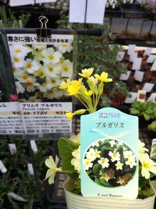 20120331105044