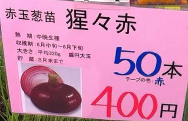 20121025150959