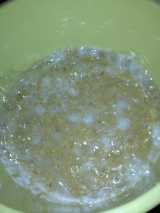 20130124152842