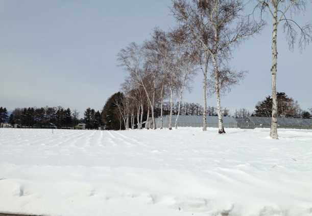 f:id:monkichi64:20130217112459j:image f:id:monkichi64:20130217112459j:image