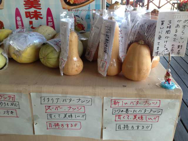 20131108152958