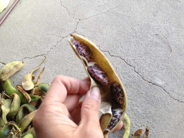 20131120144902