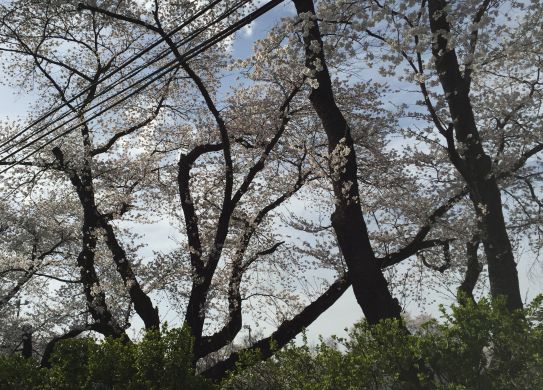 f:id:monkichi64:20150418160112j:image f:id:monkichi64:20150418160112j:image