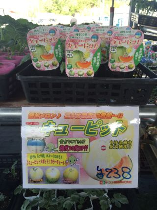 20150501153558