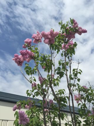 20150508094053