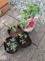 20170509153550