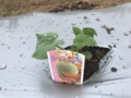 20170512164013
