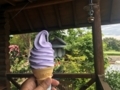 20170603124650