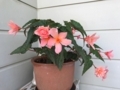 20170606163428