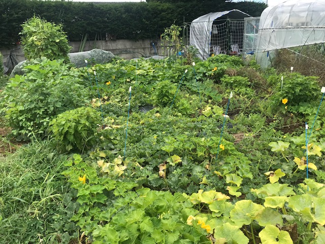 f:id:monkichi64:20180809093951j:plain f:id:monkichi64:20180809093951j:plain