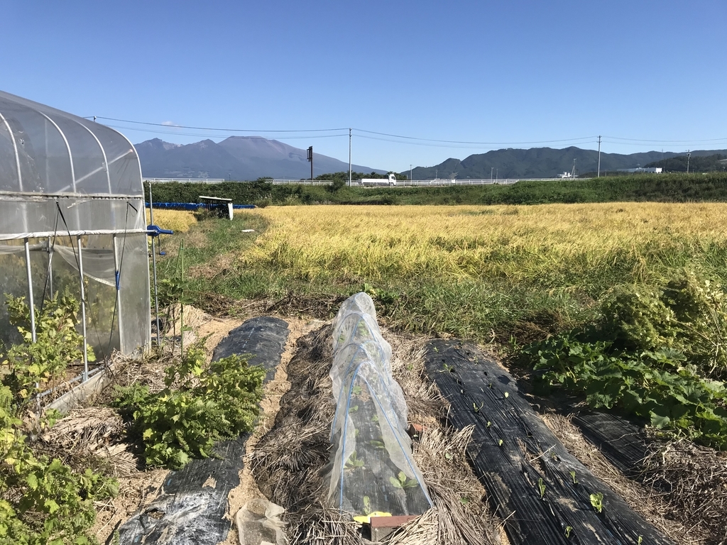 f:id:monkichi64:20181006154904j:plain f:id:monkichi64:20181006154904j:plain