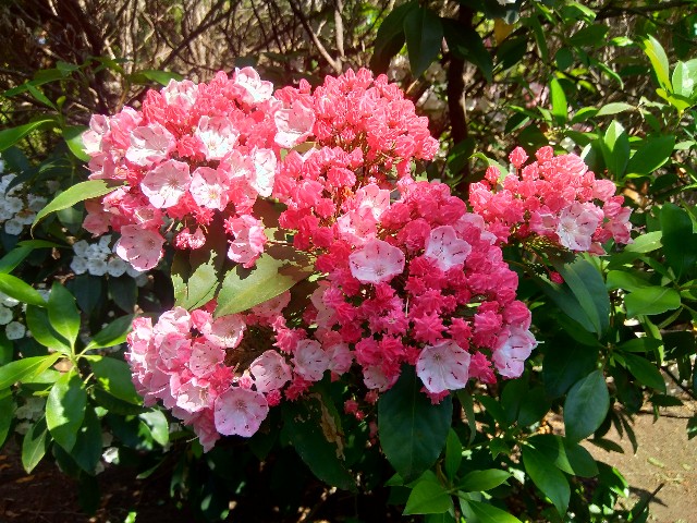f:id:monkichimama:20220524191723j:image