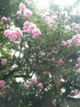 20100820114529