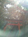 20110331114857