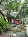 20120624113716