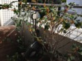 20121030084738