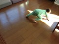20130204143757