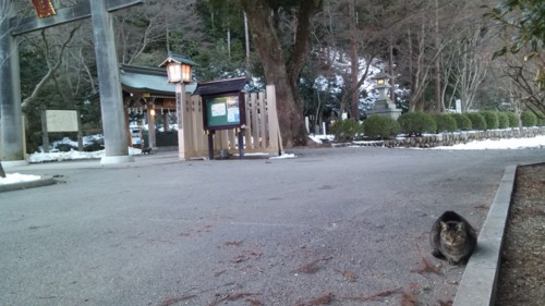 f:id:monksiiru:20140213112941j:image f:id:monksiiru:20140213112941j:image