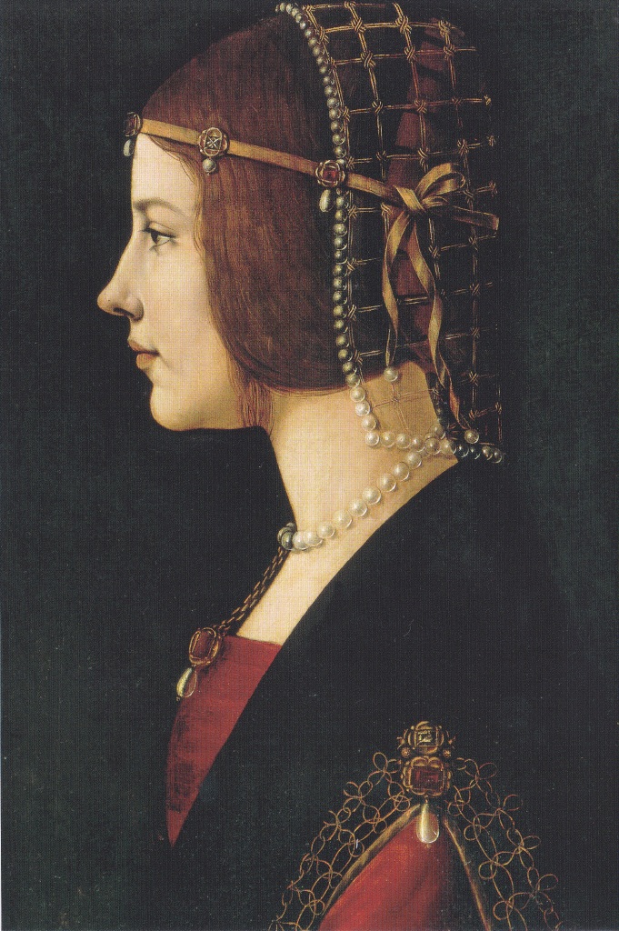 アンブロジアーナの貴婦人の肖像 - 遥かなる「知」平線