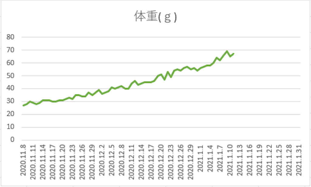 f:id:monmon007:20210114220043p:image