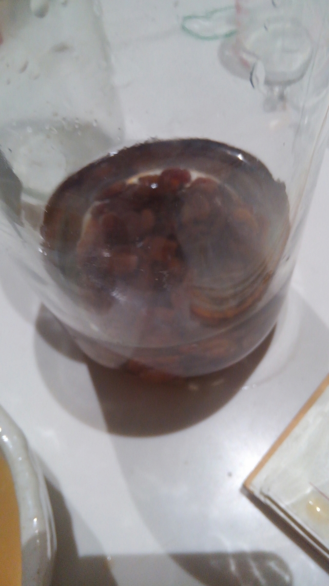 f:id:monmoncooking:20190405231757j:plain f:id:monmoncooking:20190405231757j:plain