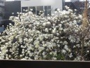 f:id:monna8888:20100314160751j:image