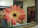 f:id:monna8888:20101007183432j:image