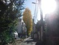 f:id:monna8888:20101204131437j:image