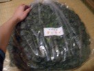 f:id:monna8888:20110209180458j:image