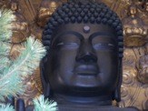 f:id:monna8888:20110218092457j:image