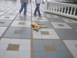 f:id:monna8888:20110927133504j:image