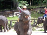 f:id:monna8888:20110927155156j:image